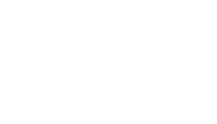 levis-logo